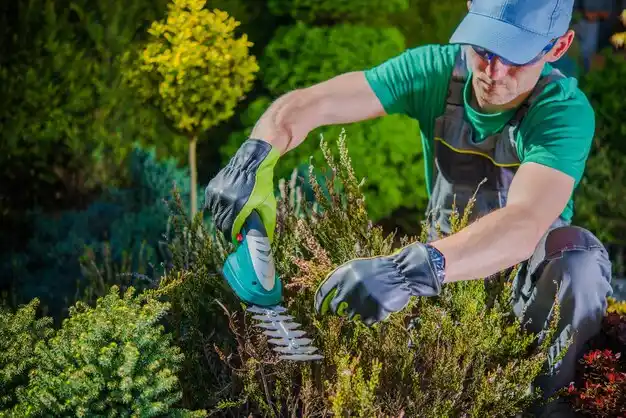 landscaping services Terrace Park